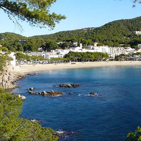 Colon Llafranc